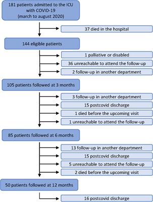 One Year Overview and Follow-Up in a Post-COVID Consultation of Critically Ill Patients